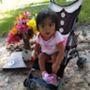 Meet your Posher, Sylvia